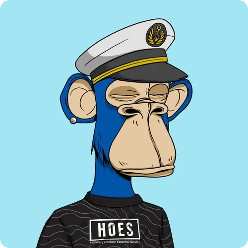Hoes Shirt